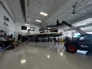 IMG_3935.jpg